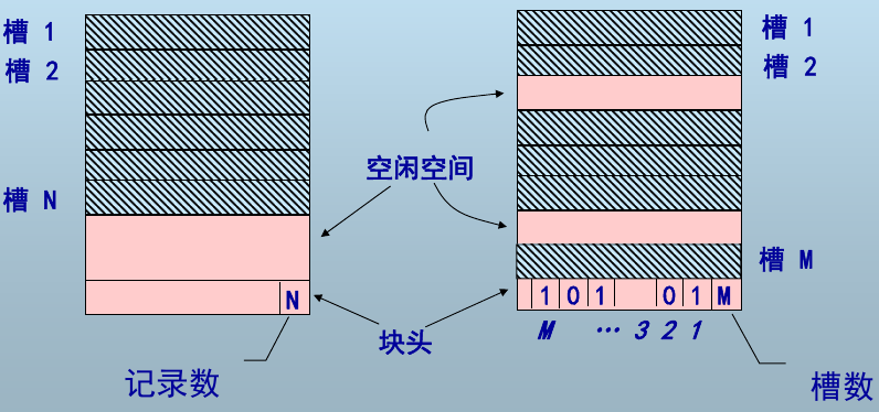 image-20211213113545894