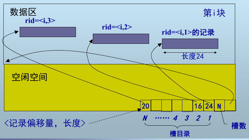 image-20211213113656602